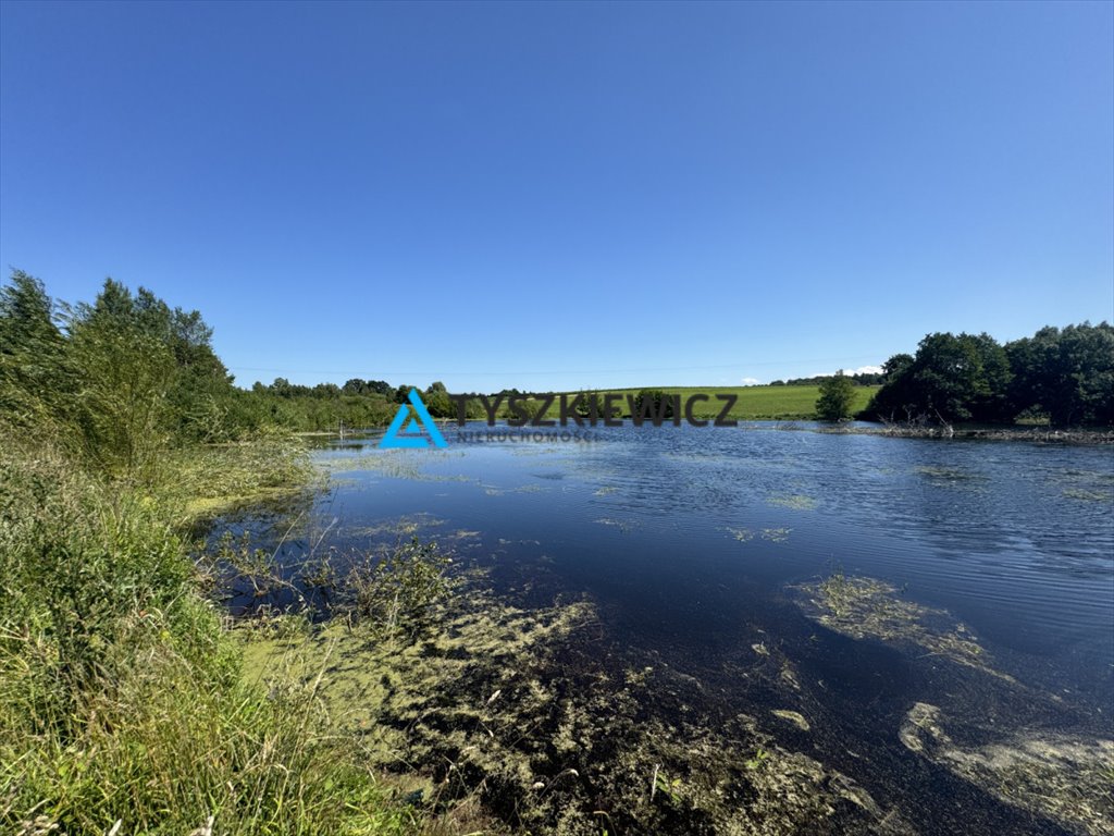 Działka 16 877 m² z warunkami zabudowy, blisko natury Łapino Kartuskie, Brzozowa  16 877m2 Foto 1