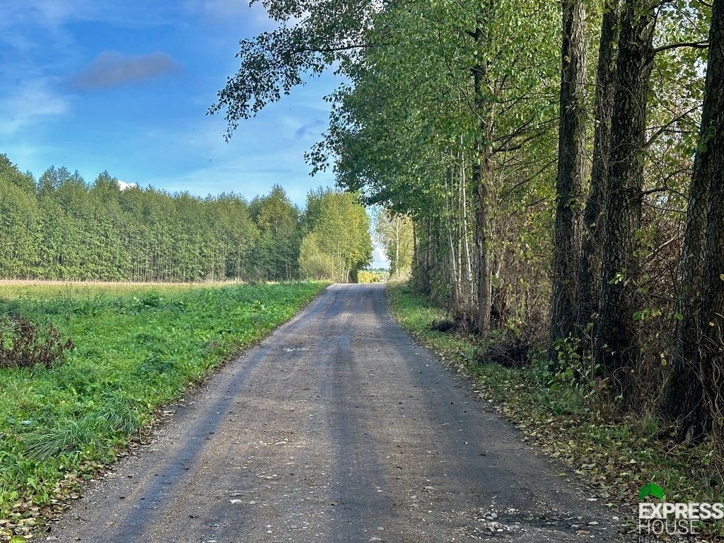 Działka budowlana na sprzedaż Tołcze, Kwiatowa  1 000m2 Foto 4