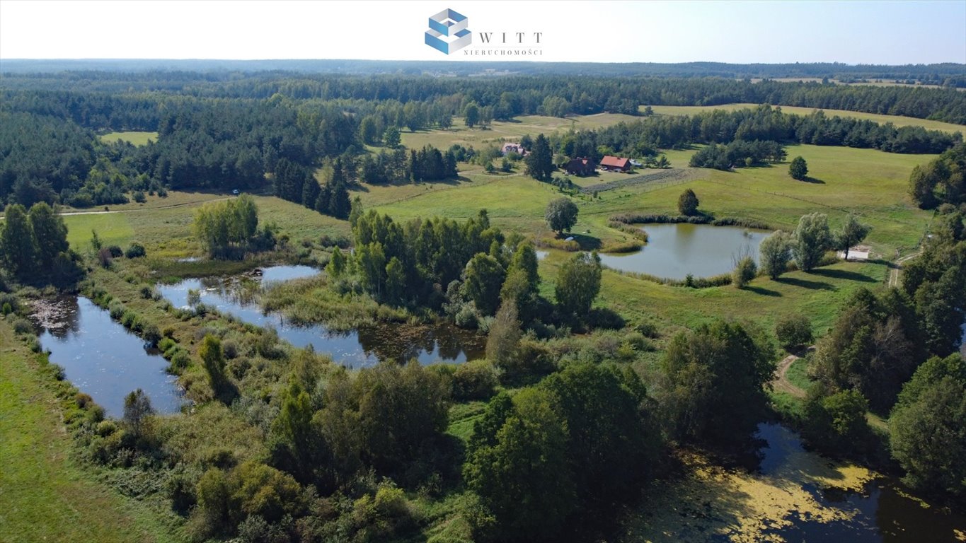 Działka budowlana na sprzedaż Kotkowo  7 965m2 Foto 7