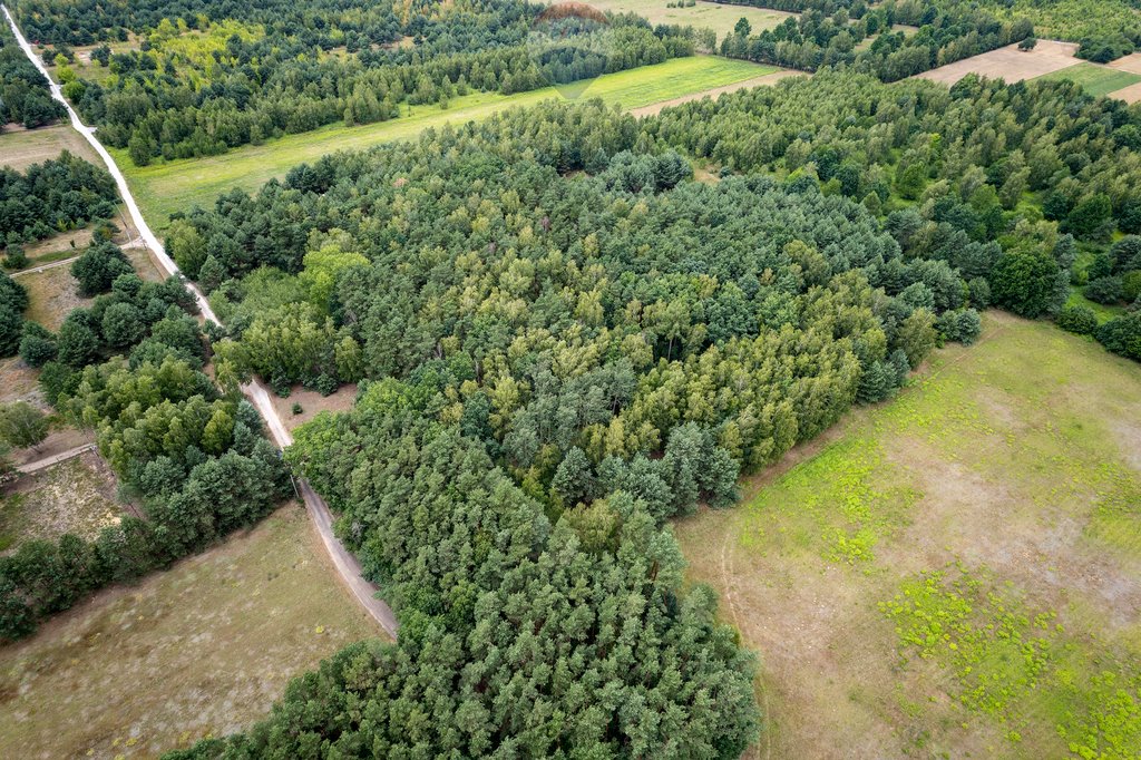 Działka budowlana na sprzedaż Powązki, Przytulna  21 100m2 Foto 7