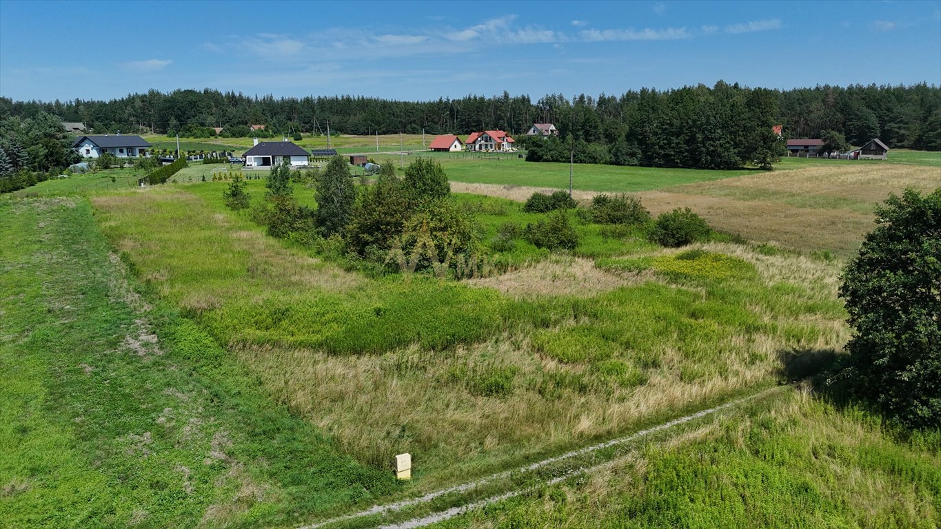 Działka 3200 m2 z pełnym uzbrojeniem i możliwością podziału Pogórska Wola  3 200m2 Foto 1