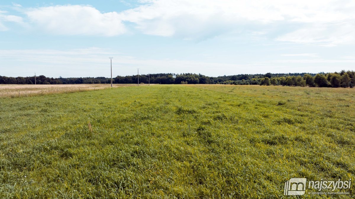 Działka rolna na sprzedaż Czermnica  17 100m2 Foto 11