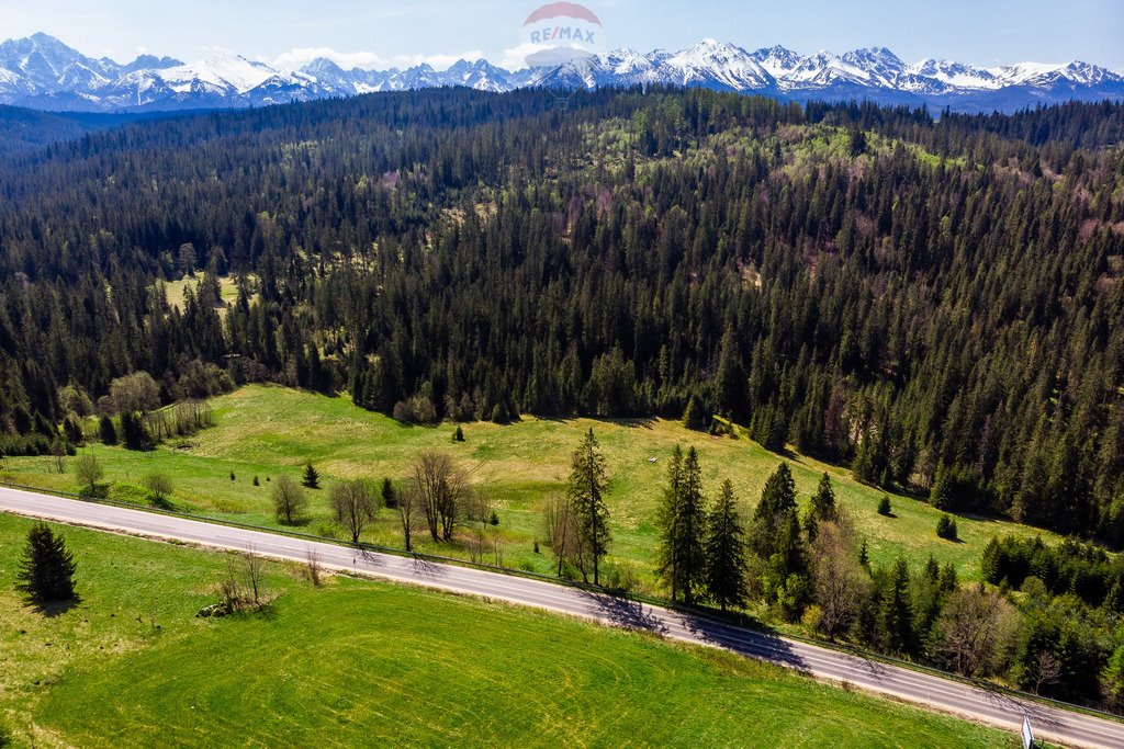 Działka rolna na sprzedaż Bukowina Tatrzańska  2 944m2 Foto 2