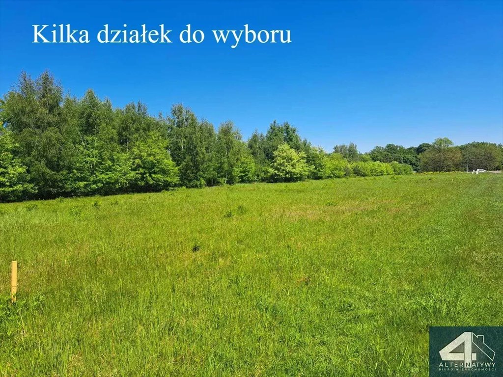 Działka inna na sprzedaż Pabianice, Pabianicka  1 353m2 Foto 1