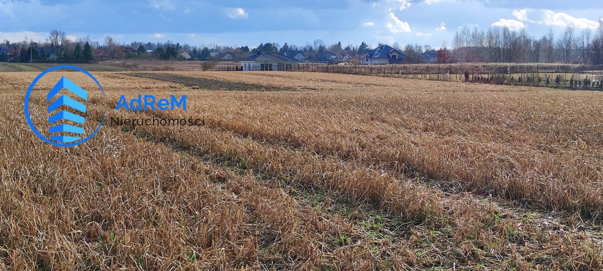 Działka rolna 1,7 ha z mediami, podział, Opacz Opacz  10 700m2 Foto 1