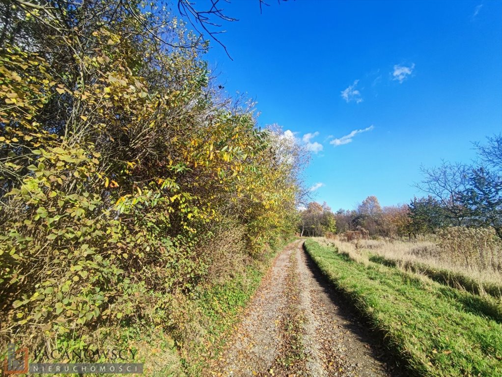 Działka budowlana na sprzedaż Trojanowice  2 600m2 Foto 2