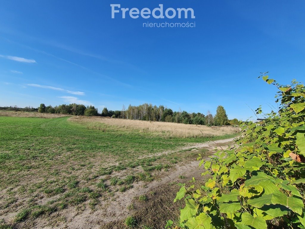 Działka budowlana na sprzedaż Terebela  1 000m2 Foto 3