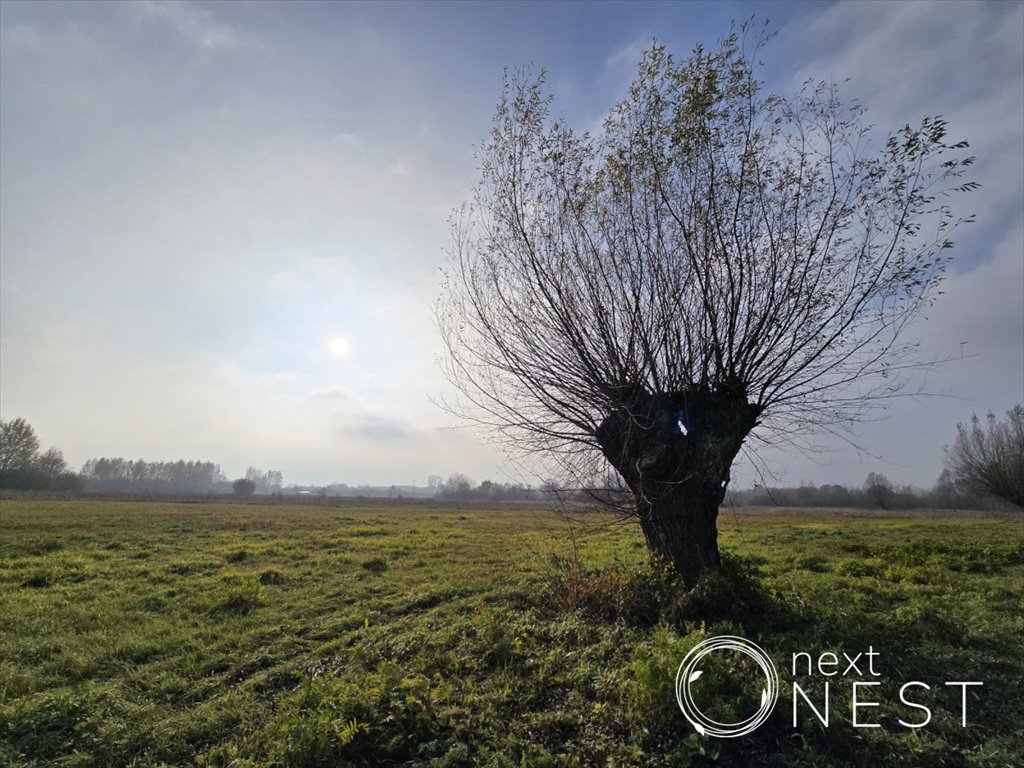 Działka siedliskowa na sprzedaż Wilczkowice Dolne  8 000m2 Foto 9