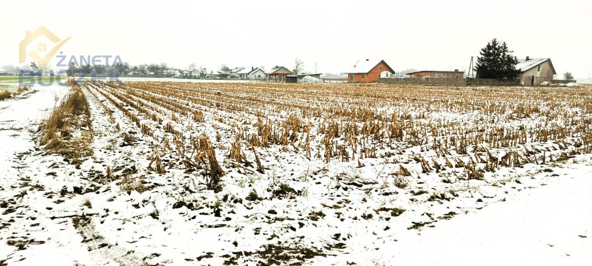 Działka rolna na sprzedaż Leonów  4 606m2 Foto 1