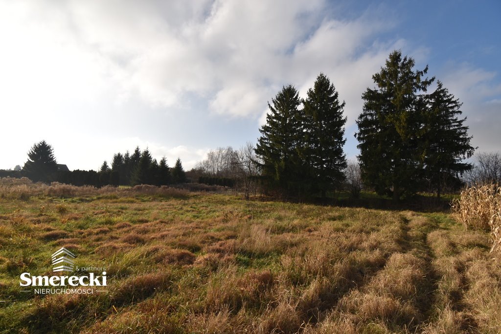 Działka budowlana na sprzedaż Okszów, Sosnowa  3 966m2 Foto 9