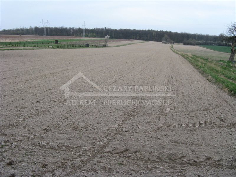 Działka budowlana na sprzedaż Prawiedniki-Kolonia, Prawiedniki Kolonia 1 300m2 Foto 1 Działka budowlana na sprzedaż Prawiedniki-Kolonia, Prawiedniki Kolonia 1 300m2 Foto 1
