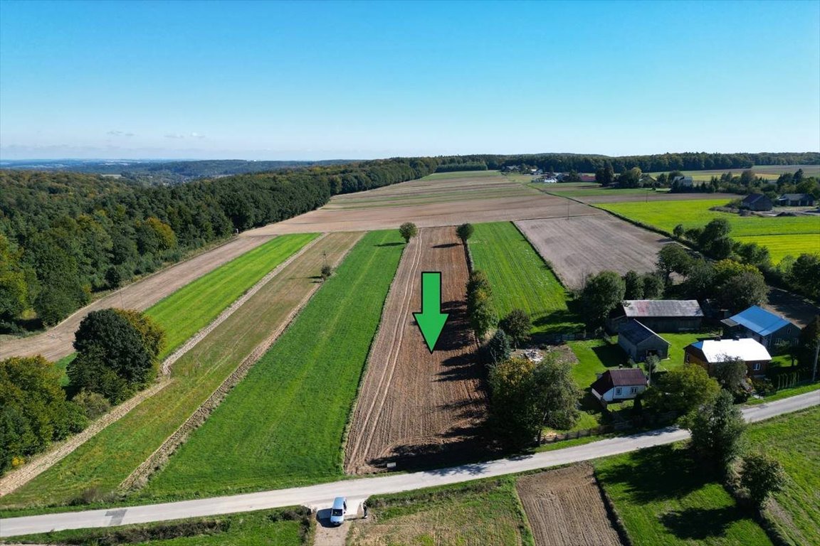 Działka rolna na sprzedaż Podleśna Wola Górna  7 490m2 Foto 2