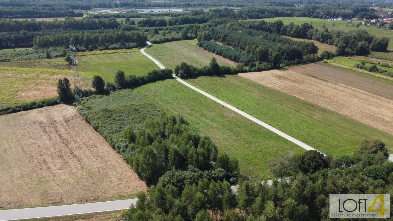 Działka budowlana na sprzedaż Rajsko  5 121m2 Foto 16