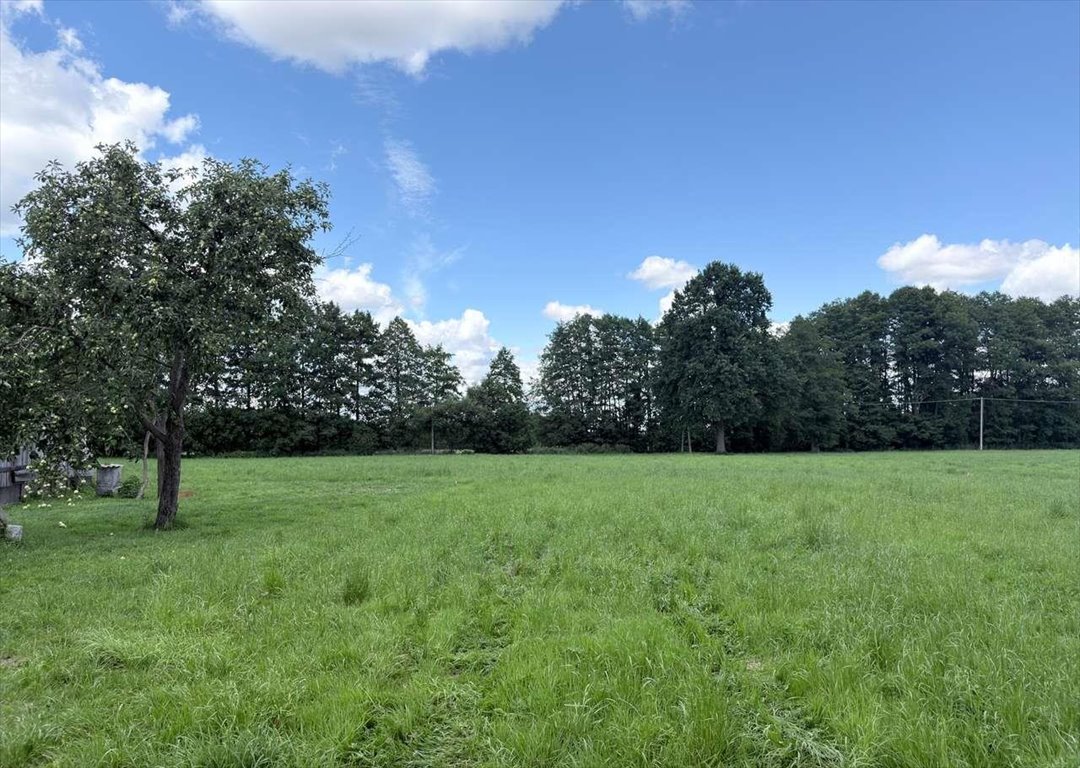 Sprzedam działkę budowlaną 2086 m² z dębem w Paproci Nowy Tomyśl, Paproć  2 086m2 Foto 1