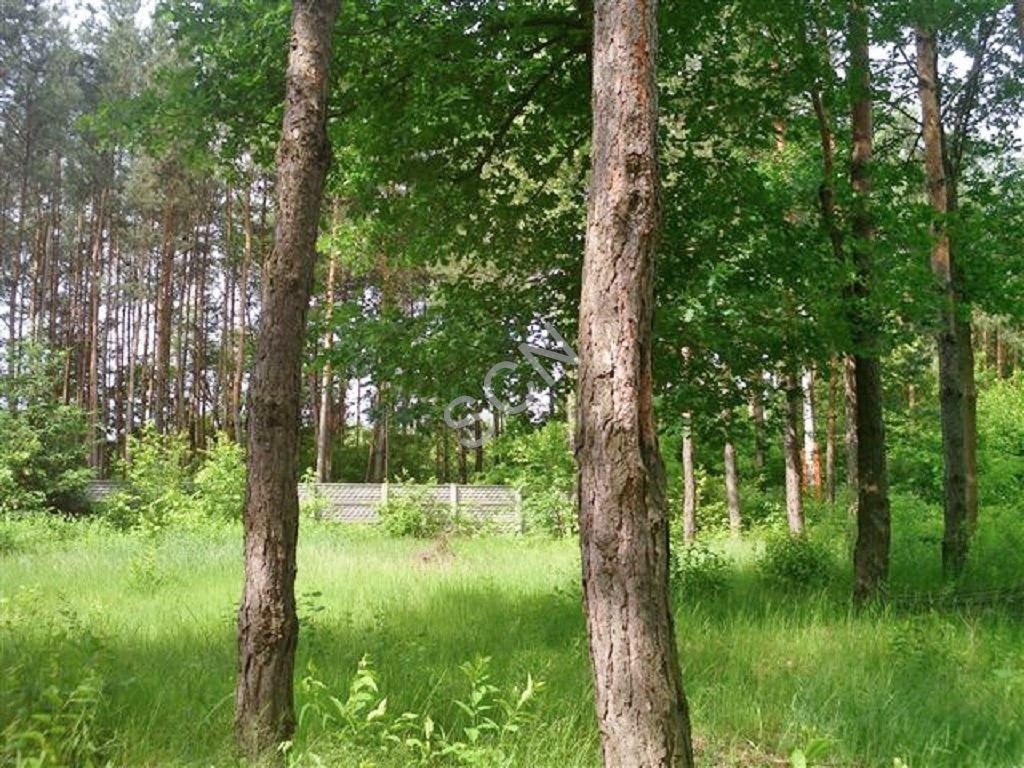 Działka leśna na sprzedaż Józefów  1 739m2 Foto 5