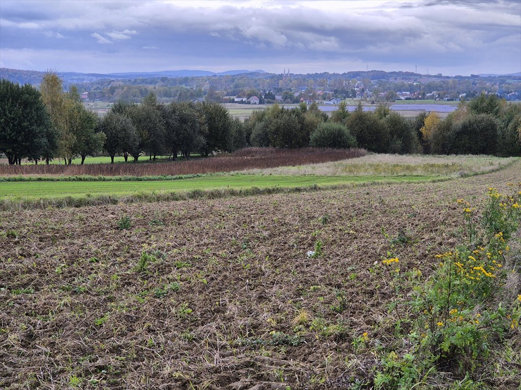 Działka rolna na sprzedaż Długie  1 910m2 Foto 10