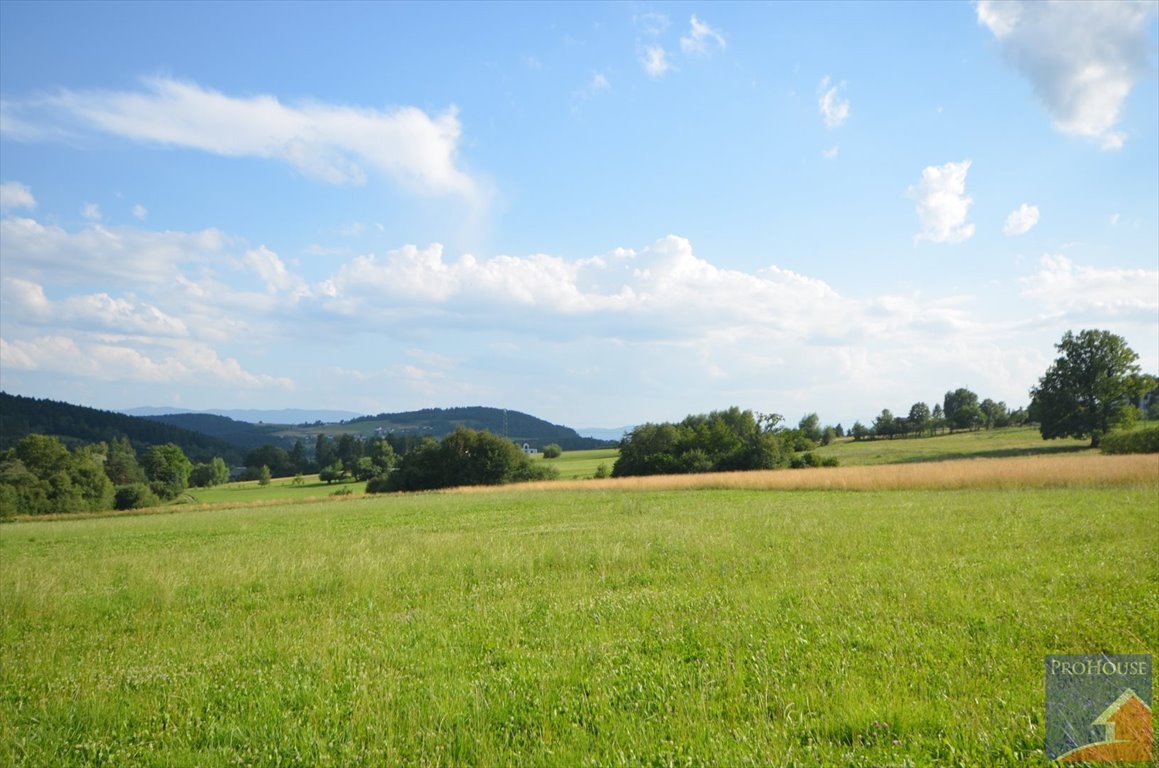 Działka budowlana na sprzedaż Wysokie  1 864m2 Foto 6