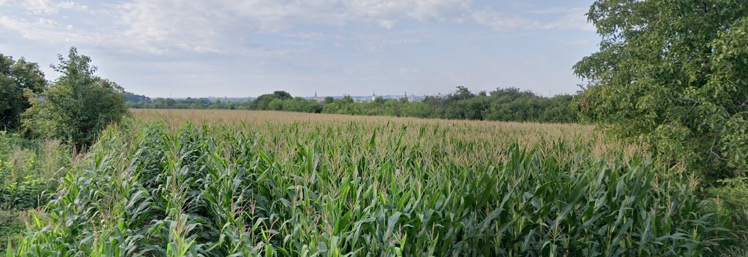 Działka budowlana na sprzedaż Kalisz, Chmielnik  810m2 Foto 1