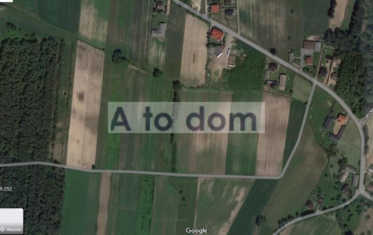 Działka rolna 15 513 m² z mediami i lasem - polecam! Trojany  15 513m2 Foto 1