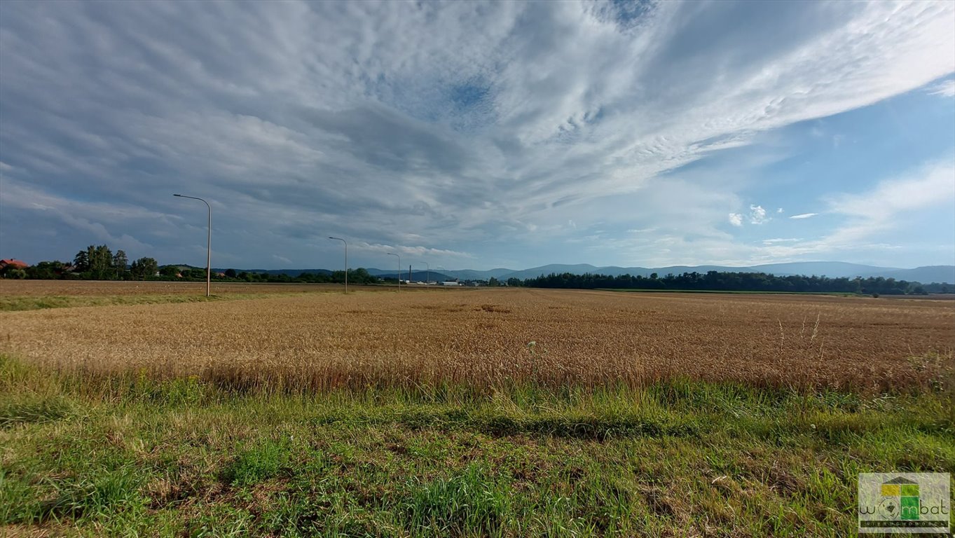 Działka inna na sprzedaż Pieszyce  918m2 Foto 3