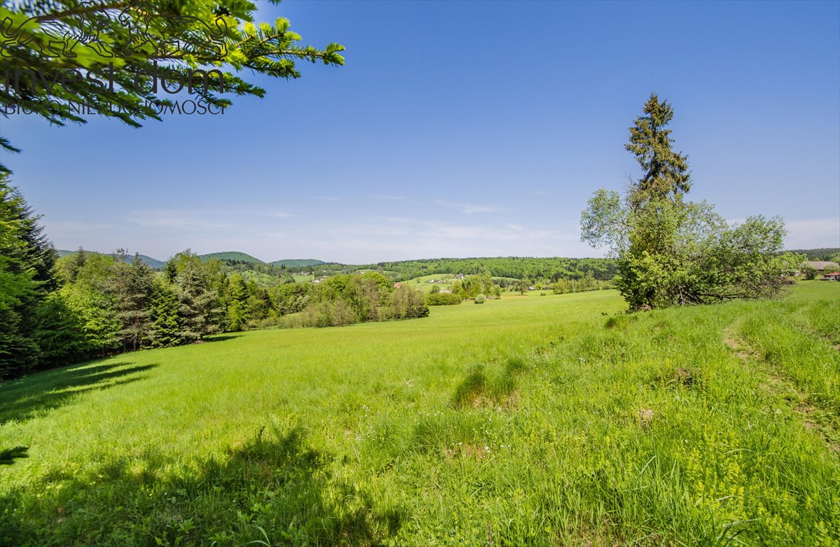 Działka budowlana na sprzedaż Uście Gorlickie  3 300m2 Foto 4