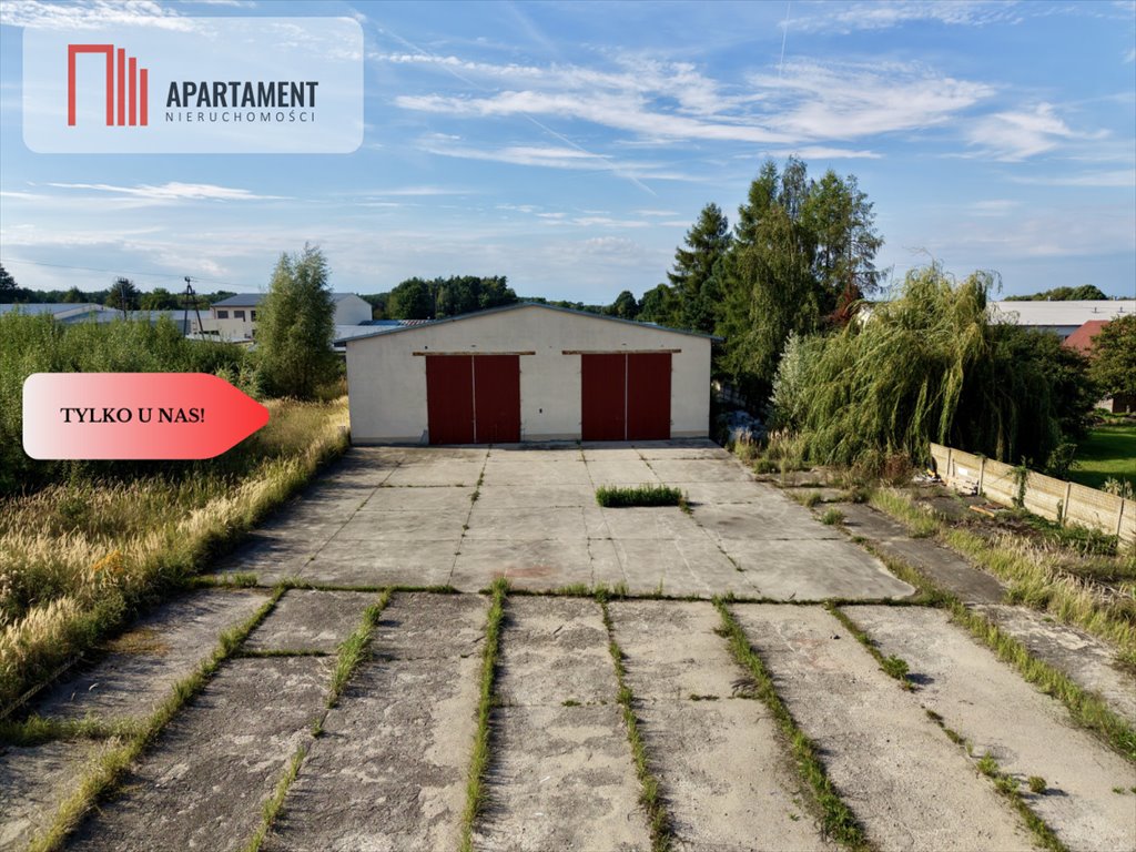 Polecam dużą halę 382 m² z kanałami i układem przelotowym Królewska Wola  381m2 Foto 1