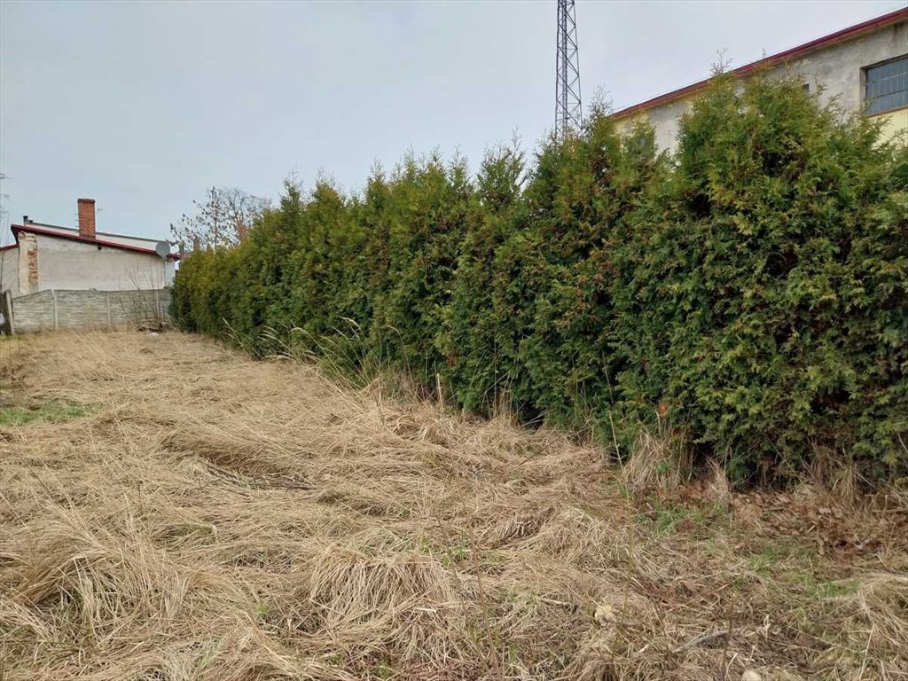 Lokal użytkowy na sprzedaż Chojnów  1 979m2 Foto 4