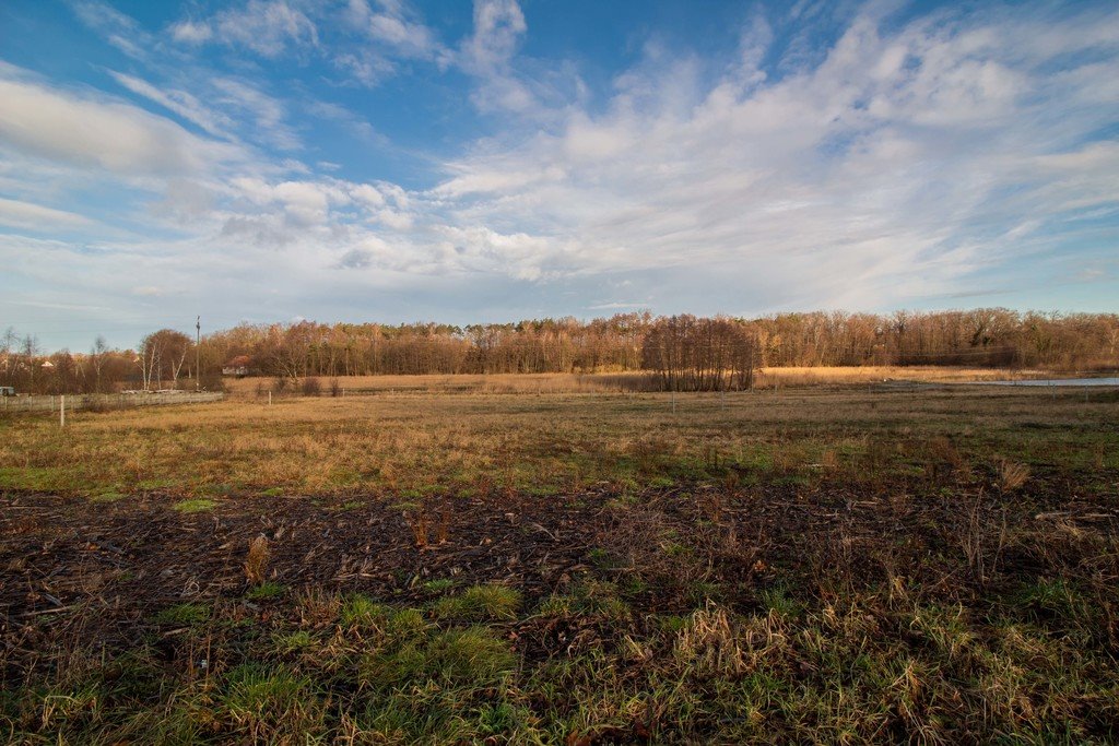 Działka budowlana na sprzedaż Żary, Bociania  1 100m2 Foto 15