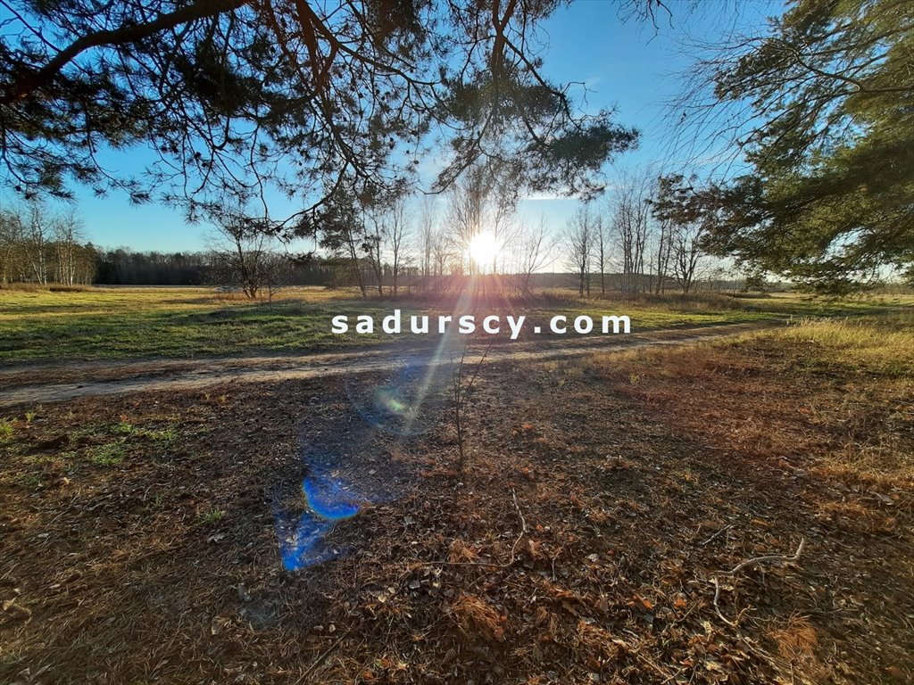 Działka budowlana na sprzedaż Baniocha  3 539m2 Foto 11