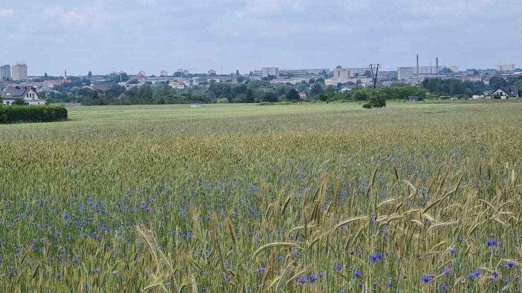 Działka budowlana na sprzedaż Stargard  900m2 Foto 1