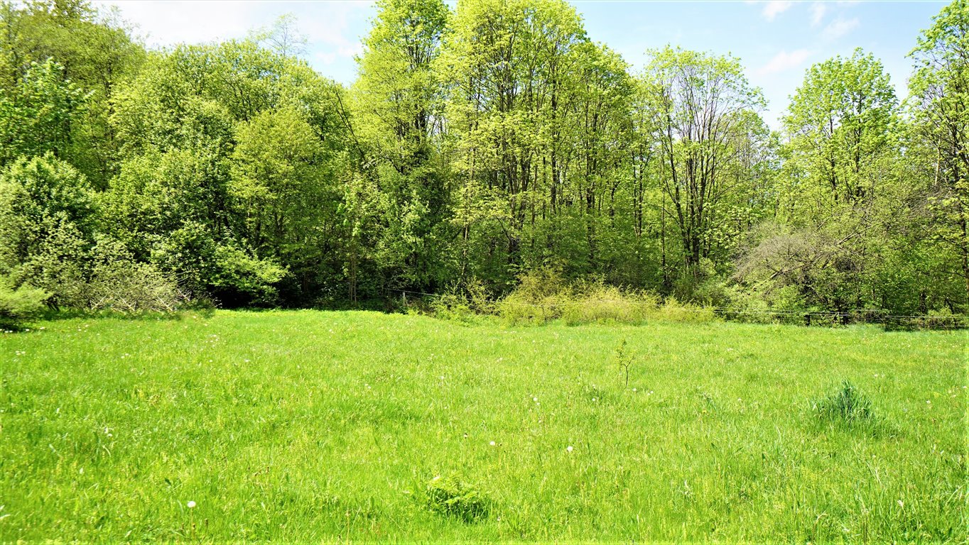 Działka 1200 m² z dostępem do potoku i lasu - blisko atrakcji Nowica  1 200m2 Foto 1