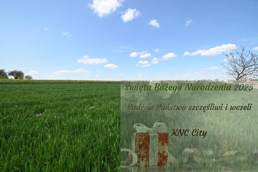 Działka budowlana na sprzedaż Podole  1 300m2 Foto 1