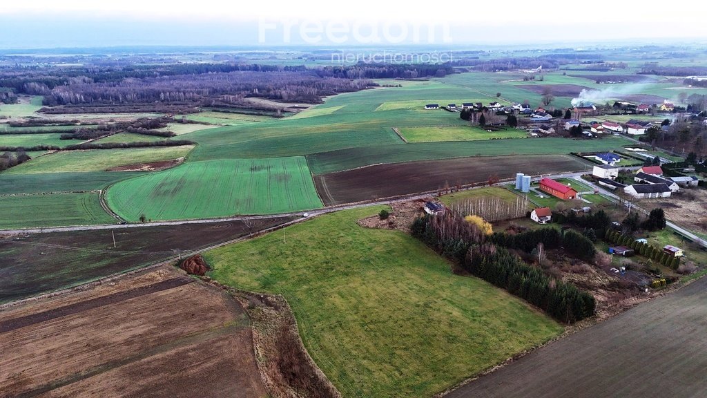 Działka budowlana na sprzedaż Frednowy  10 044m2 Foto 5