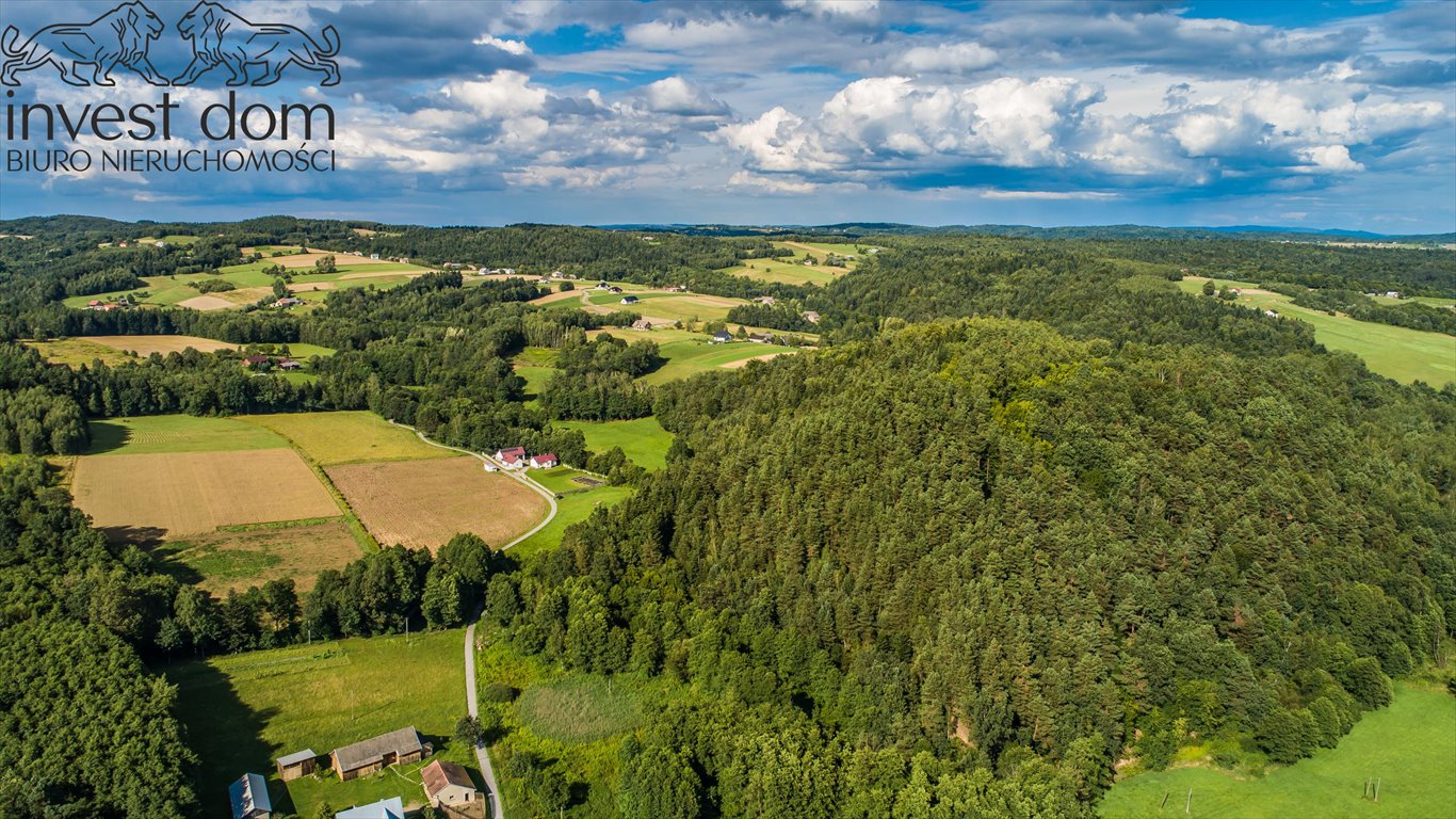 Działka leśna na sprzedaż Szerzyny  11 300m2 Foto 10