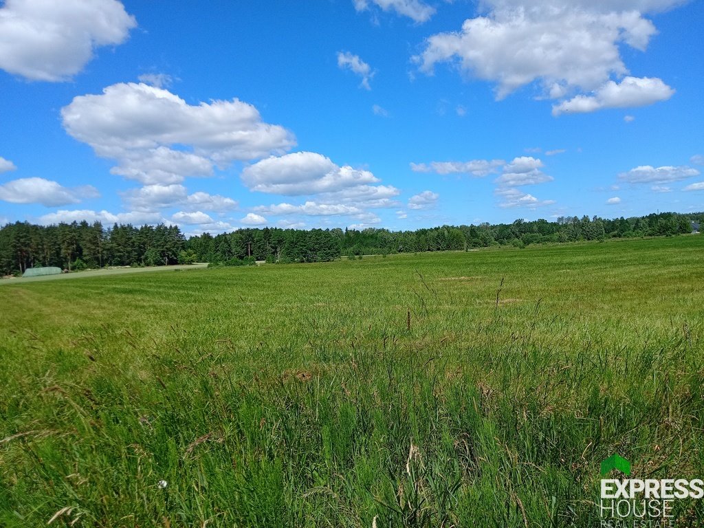 Działka budowlana na sprzedaż Ciasne  1 000m2 Foto 1