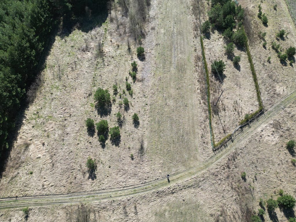 Działka budowlana na sprzedaż Krasnobród  7 862m2 Foto 8