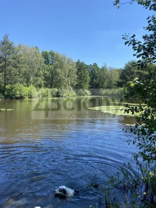 Polecam działkę z stawem i możliwością zabudowy 21 811 m² Janinów  21 811m2 Foto 1