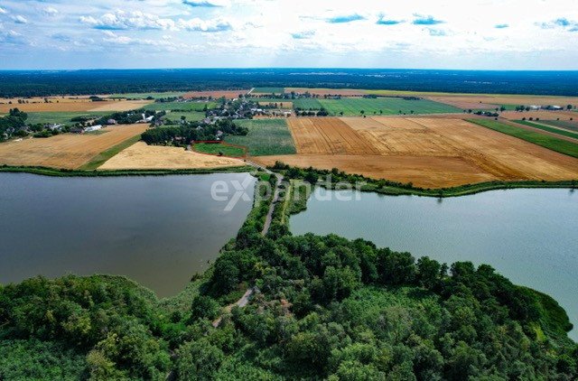 Działka budowlana na sprzedaż Białe Piątkowo  2 573m2 Foto 10