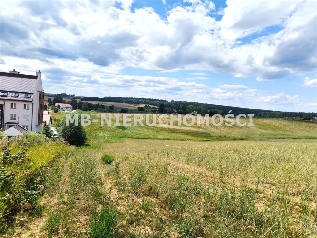 Działka pod zabudowę wielorodzinną 16,7 ha, media, asfalt Jaroty  16 700m2 Foto 1