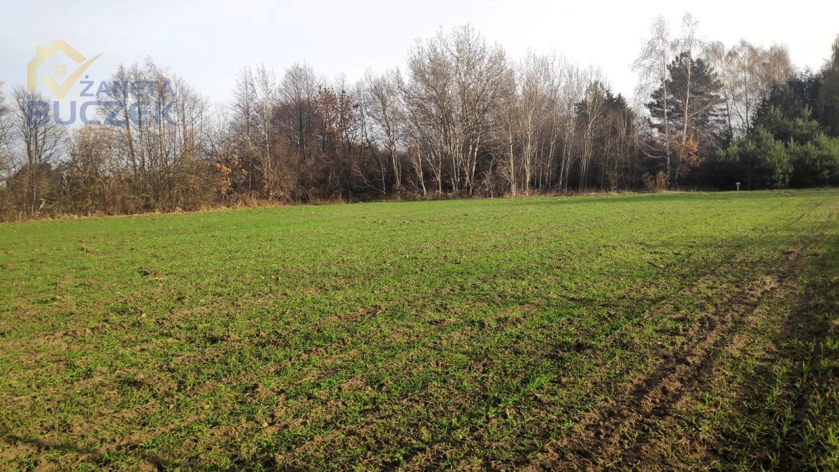 Działka budowlana na sprzedaż Lubiejew  1 000m2 Foto 5