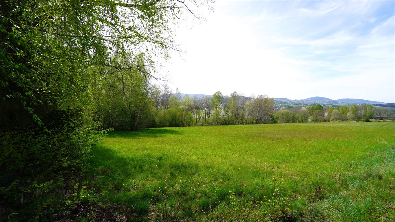 Działka budowlana na sprzedaż Sękowa  8 200m2 Foto 2