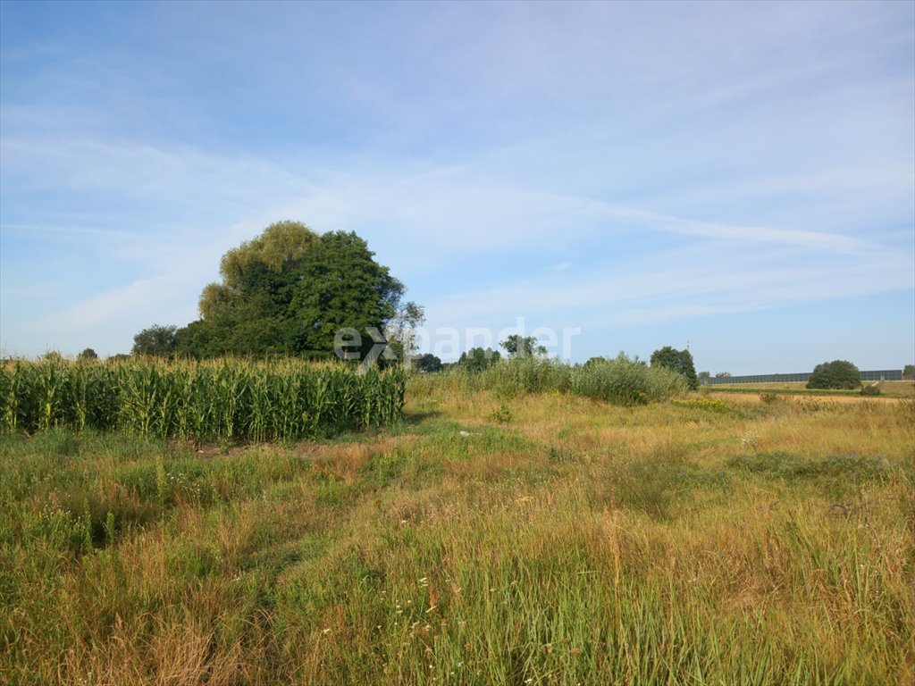 Działka rolna na sprzedaż Kruszyn Krajeński, Lipowa  28 705m2 Foto 4