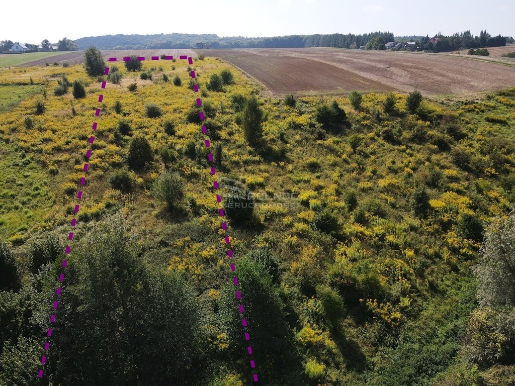 Działka budowlana na sprzedaż Przybysławice  4 600m2 Foto 1