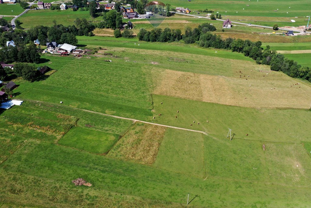 Działka rolna na sprzedaż Maruszyna  9 650m2 Foto 15