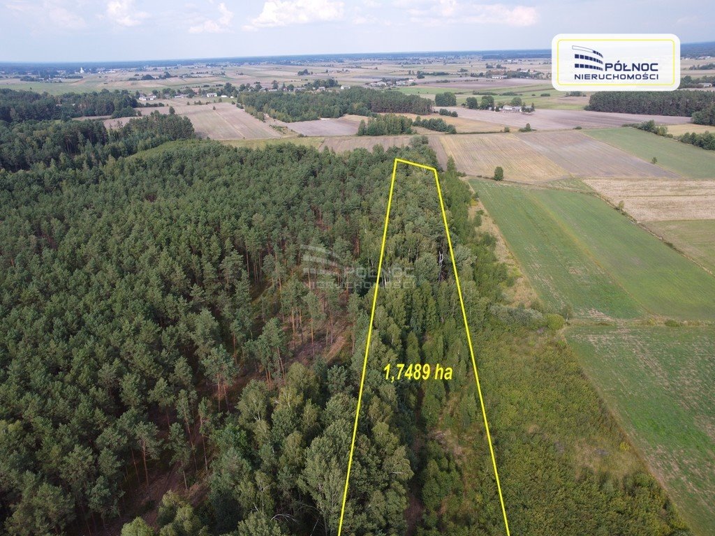 Działka leśna na sprzedaż Curyn  17 500m2 Foto 1