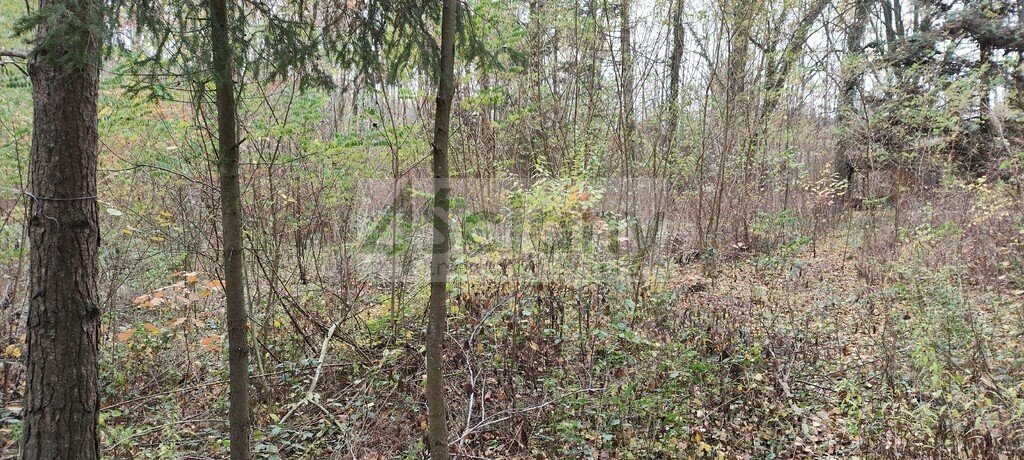 Działka 1500 m² z domkiem, las, prąd, dojazd asfalt Ojrzanów  1 500m2 Foto 1