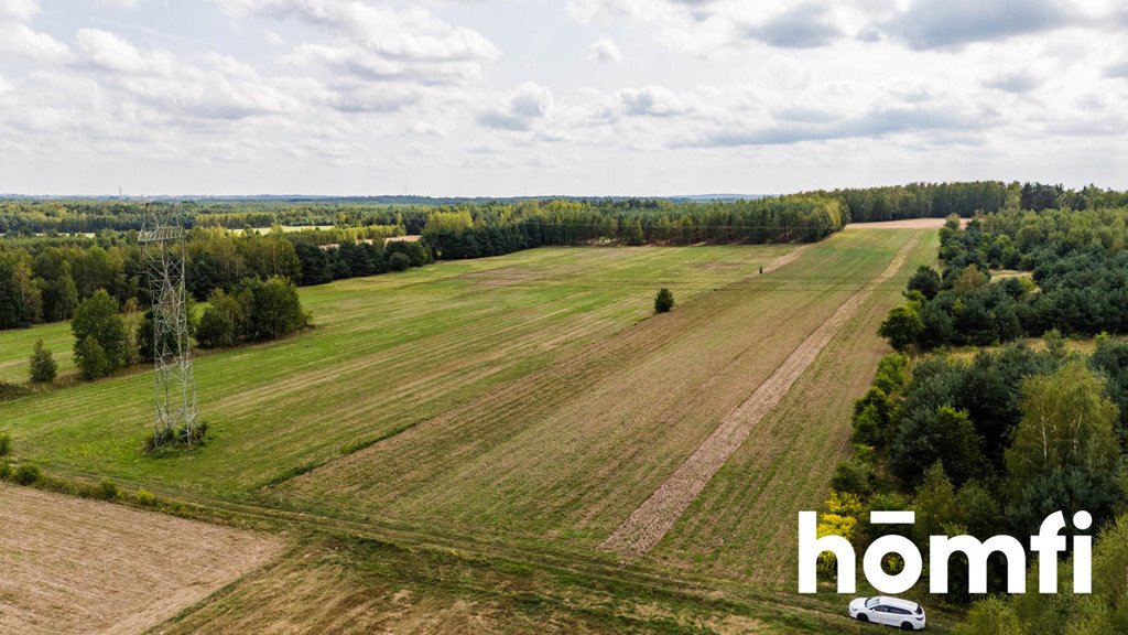 Działka rolna na sprzedaż Zdziechów  45 600m2 Foto 19