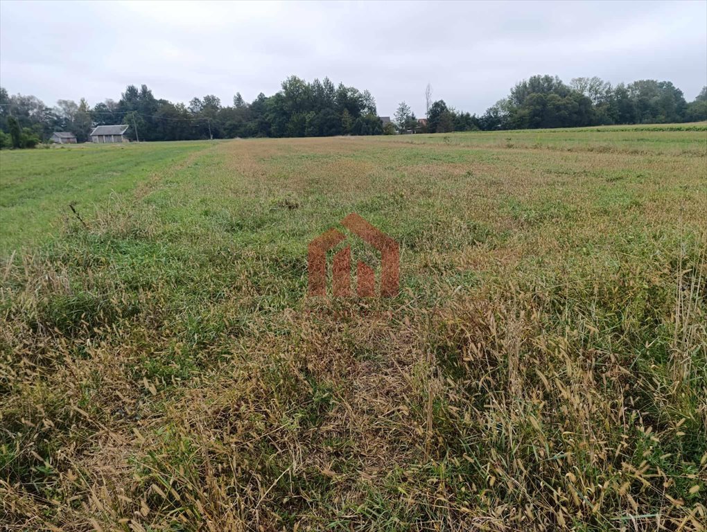 Działka budowlana na sprzedaż Sędziszów Małopolski, Piaskowa  3 324m2 Foto 4