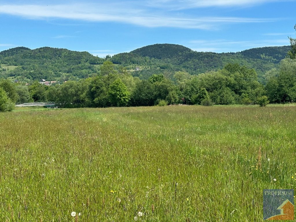 Działka budowlana na sprzedaż Podłopień  4 058m2 Foto 6