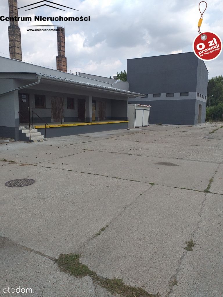 Lokal użytkowy na wynajem Świecie 1 600m2 Foto 1 Lokal użytkowy na wynajem Świecie 1 600m2 Foto 1